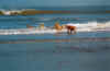 Ameland1.jpg (32061 Byte)