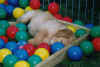 hier 7.jpg (287585 Byte)