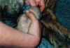 Fruchthuelle.jpg (45126 Byte)