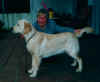 Dusty3.jpg (37367 Byte)