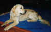 Max.jpg (37694 Byte)